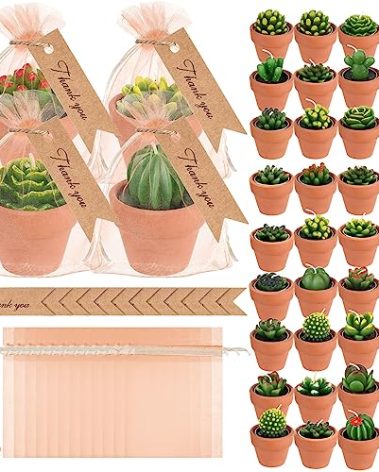 MTLEE 48 Pcs Succulent Tealight Candles - Bulk Party & Baby Shower Pack with Terracotta Pot, Organza Bag, Tags, Twine