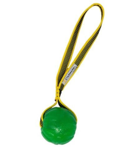 Starmark GripCord Chew Ball Loop Medium
