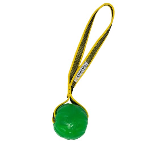 Version 1.0.0 Version 1.0.0