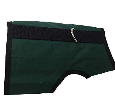 Kitty Holster Cat Harness – Secure Cat Harness for Walking, Soft Cotton Cat Accessories, Comfortable Fit, Strong Hook-and-Loop Closure, Made in USA – Green, S/M