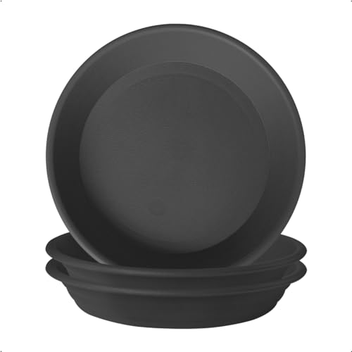 Version 1.0.0 Version 1.0.0