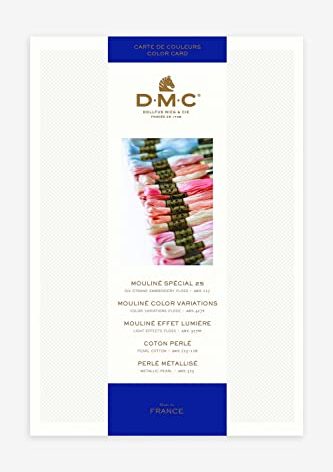 DMC Threaded Color Card - W100B