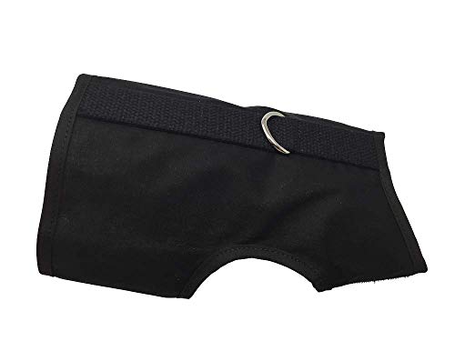 Version 1.0.0 Version 1.0.0