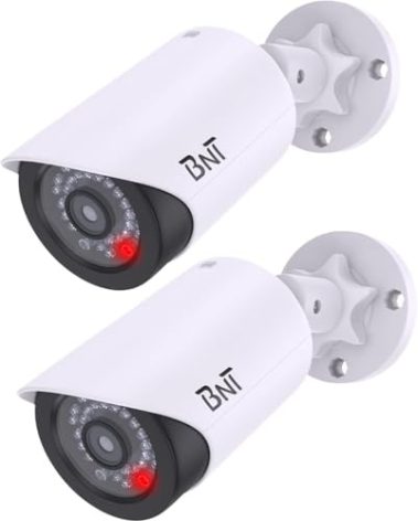 BNT Dummy Fake Camera, Surveillance Security CCTV Dome Camera, with One LED Light, Security Alarm Sticker Label (TC-W2), Security Camera Suitable for Indoor/Outdoor (2 Pack, White)