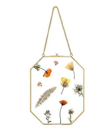 Wall Hanging Gold Brass Photo Frame, Double Clear Floating 8x10 Inches Octagon Geometric Herbarium Glass Frame for Dried Flowers, Pressed Flowers, Plants , Specimen Picture Frame Modern Home Decor