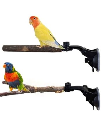 Natural Wood Bird Perch Stand With Suction Cup - 2 PCS Parrot Cage Toys, Shower and Window Stand, Wall Bath Rack for Cockatoo, Macaw, Parakeet