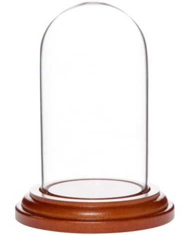 Plymor 1.85" x 3.5" Mini Glass Display Dome Cloche (Walnut MDF Base)