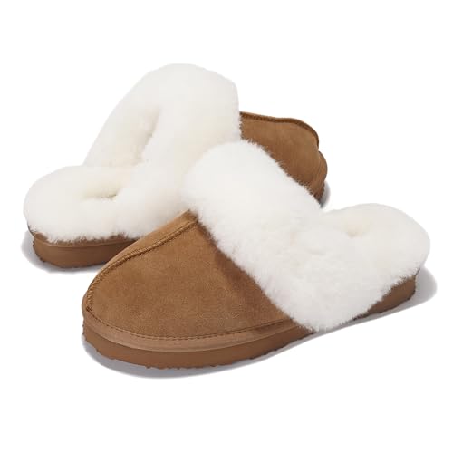 Version 1.0.0 Version 1.0.0