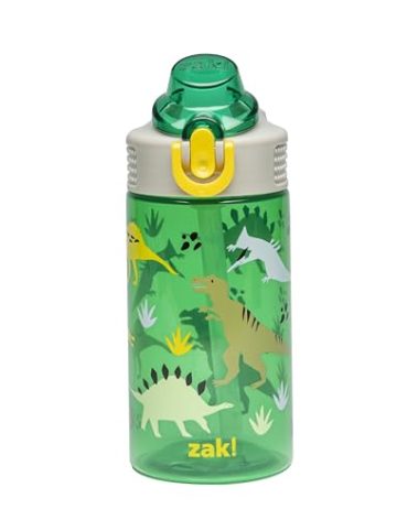 Zak Designs Sage Kids Water Bottle For School, Travel or At Home, 16oz Durable Plastic Water Bottle With Straw, Handle, and Leak-Proof, Pop-Up Spout Cover (Dino)