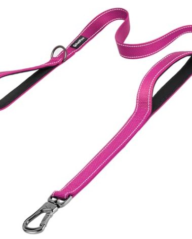 PetiFine 6FT Heavy Duty Dog Leash with Soft Padded Double Handle, Durable Strong Clasp Dog Leashes, Reflective Nylon Walking Lead for Large,Medium,Small Breed Dogs, Rose