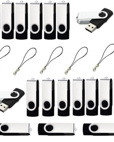 lcwamy 2GB USB Flash Drive 100 Pack USB2.0 Flash Drive 2GB 100 Pack Thumb Drive Bulk USB Flash Drives Thumb Drives Pen Drive USB Drive(Black, No Logo)