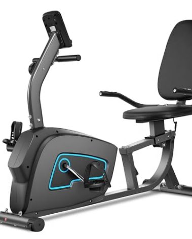 Exercise Bike Recumbent Exercise Bike for Home Stationary Bike Sturdy Quiet 8 Levels Large Comfortable Seat Heart Rate Handle & Device Holder 300 LB Weight Capacity