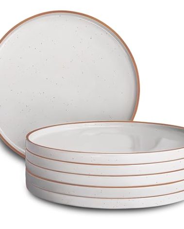 Mora 10.5-inch Porcelain Dinner Plate Set of 6 - Microwave/Oven/Dishwasher Safe, Scratch Resistant, Vanilla White