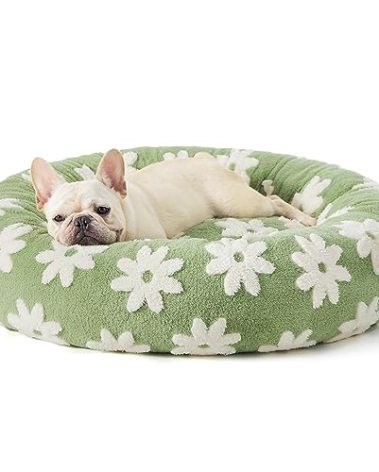 LE SURE Donut Medium Dog Bed - Round Cat Beds for Indoor Cats Calming Pet Beds, Cute Modern Beds with Jacquard Shaggy Plush & Anti Slip Bottom, 30 Inch, Green