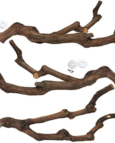 kathson Natural Parrot Perch Bird Stand Pole Wild Grape Stick Paw Grinding Fork Parakeet Climbing Standing Branches Toy Chewable Cage Accessories for Small Budgies Cockatiels Lovebirds 3PCS