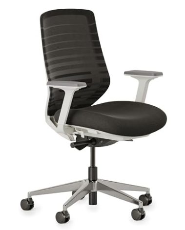 Branch Ergonomic Chair - A Versatile Desk Chair with Adjustable Lumbar Support, Breathable Mesh Backrest, and Smooth Wheels - Experience Optimal Comfort and Support - Black