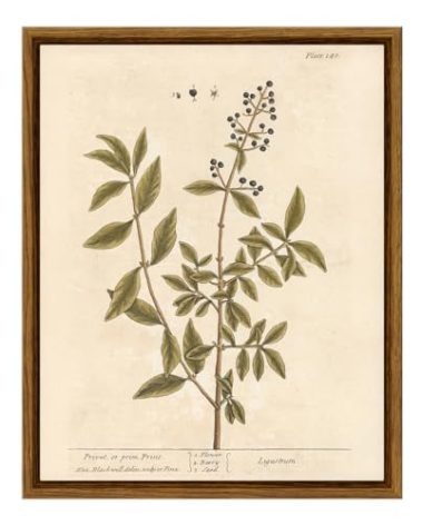 VIYYIEA Framed Wall Art Decor for Living Room,Canvas Vintage Wall Art Painting Pictures Rustic Vintage Plant Prints Farmhouse Decor Cottage Artwork Home Kitchen Aesthetic Living Room Decor 8x10in