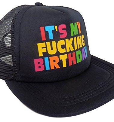 Sterling James Co. Funny Happy Birthday Hat - Birthday Decorations - 21st - 30th - 40th - 50th - Funny Adult Party Supplies Multi