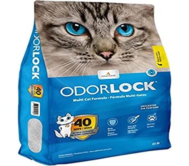 Intersand, Odour Lock Unscented Clay Litter, 25#