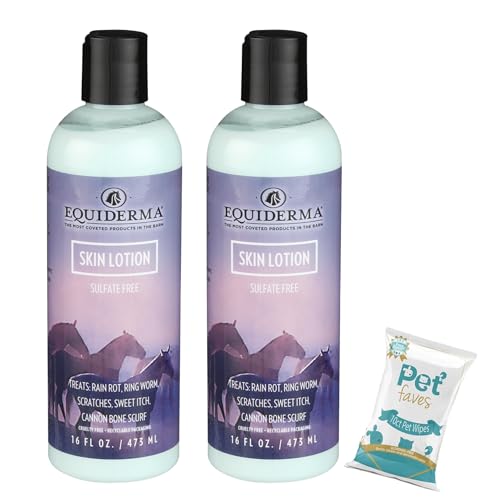 Version 1.0.0 Version 1.0.0