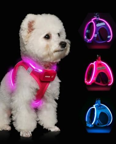 Light Up Dog Harness,Rechargeable LED Dog Harness for Small Medium Large Dogs,Reflective Lighted Safety Vest for Night Walking & Camping,Lightweight & Adjustable,Pink,XS