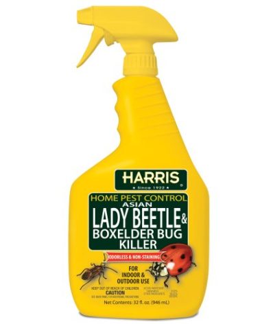 Harris Asian Lady Beetle and Box Elder Killer, Liquid Spray with Odorless and Non-Staining Extended Residual Kill Formula (32oz)