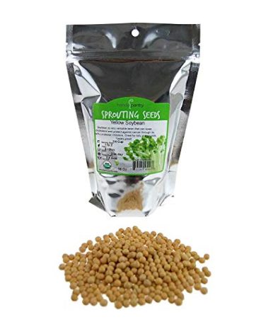 Certified Organic Dried Yellow Soybeans - 1 Lb - Perfect for Use in a Soy Milk Making Machine to Make Soy Milk. Makes Tofu, Roasted Soy Beans, Emergency Food Storage, More