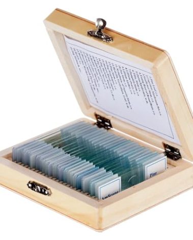 AmScope PS25 Prepared Microscope Slide Set for Basic Biological Science Education, 25 Slides, Includes Fitted Wooden Case Brown