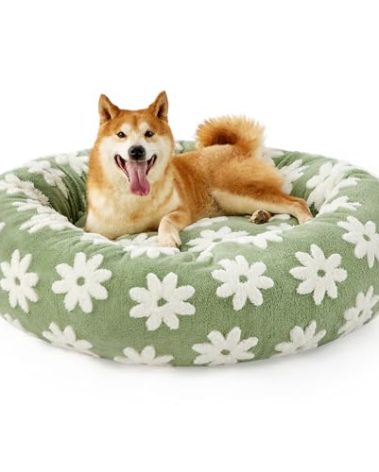 LE SURE Donut Large Dog Bed - Round Cat Beds for Indoor Anti-Anxiety Calming Pet Beds, Washable Cute Modern Beds with Jacquard Shaggy Plush & Anti Slip Bottom, 36 Inch, Green