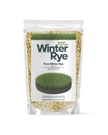Winter Rye Grass Seed Grass Fall Mix Ryegrass Seeds for Lawn No Till Food Plot Seed Fall Cover Crop Mix by Old Cobblers Farm (5/10/15/20/25 lbs) (5 lbs)