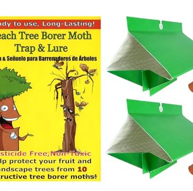 Peach Tree Borer & Clearwing Moth Trap (2 Pack, 8 Week)