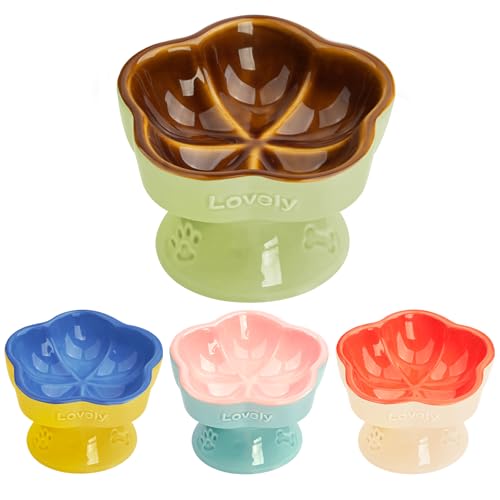 Version 1.0.0 Version 1.0.0