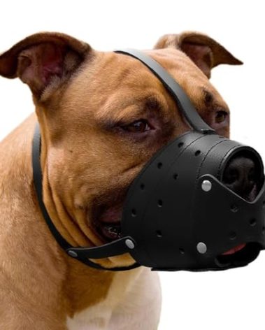 CollarDirect Leather Basket Dog Muzzle for German Shepherd Staffordshire Terrier Pitbull Medium Large Breeds Training, Anti-Barking, Biting, Chewing (Black)