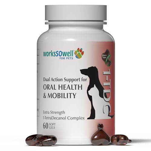 Version 1.0.0 Version 1.0.0