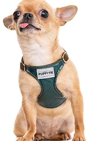 Puppytie No Pull xs Dog Harness with Multifunction Dog Leash,Soft Adjustable No Choke Escape Proof Pet Harness Vest,Glossy Dark Green,XS