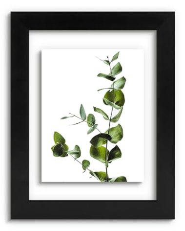 Golden State Art, 8.5X11 Floating Picture Frame, Black Wood Frame Display Any Size Photo Up To 8.5X11, Pressed Flower Frames with Hanging Hardware - Horizontal And Vertical Formats for Wall