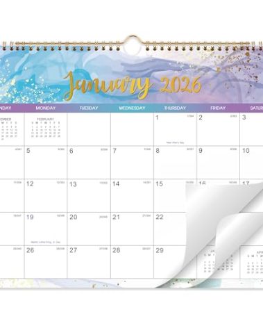 Calendar 2026-2027 - Wall Calendar 2026-2027 from Jan.2026 - Dec.2027, 14.5" x 11.5", 2 Year Calendar with Large Blank Blocks and Julian Dates, 2026 Wall Calendar