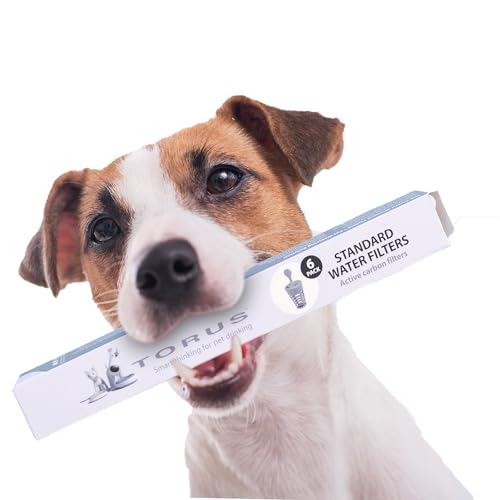 Version 1.0.0 Version 1.0.0