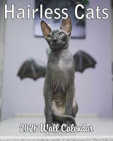 2026 Hairless Cats Monthly Wall Calendar | Cute Sphynx Cats Calendar 2025-2026