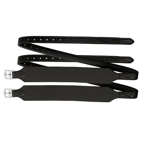 Version 1.0.0 Version 1.0.0