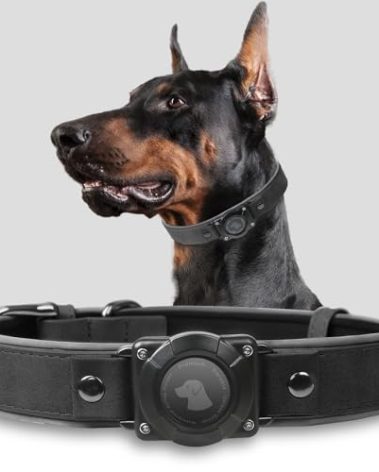 AirTag Dog Collar - Leather Dog Collar with Air Tag Holder | IPX8 Waterproof, Reflective, High - End, Adjustable Soft Padded | Dog GPS Tracker Collars Fit for Medium Large Dogs (Black, XL)