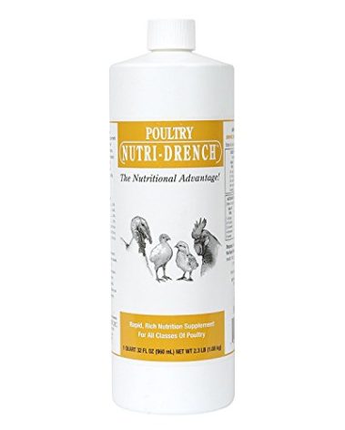 POULTRY NUTRI-DRENCH QT - 1 Quart