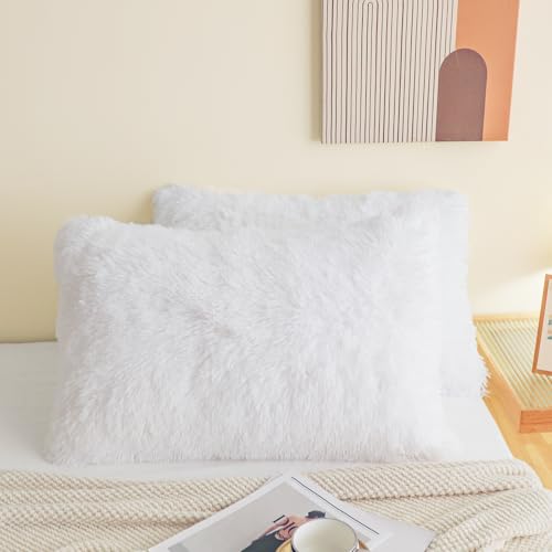 Version 1.0.0 Version 1.0.0