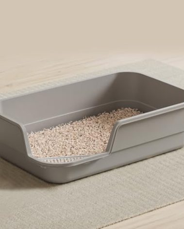 LoopTime Extra Large Cat Litter Box with High Sides,Cats Boxes for Indoor Cats,Cat Litter Pan for Kitty,Litter Box with Low Entry,Easy to Clean,Anti-Splashing,23.6" x15.7" x5.9" (Grey)