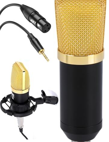 Pyle Condenser Microphone, Large Diaphragm, Shock Mount, 3.5mm Recording, Computer Mic, Podcasting, Studio Vocal, Rugged Aluminum Housing, Includes XLR Cable, Ideal for Streaming, Broadcasting