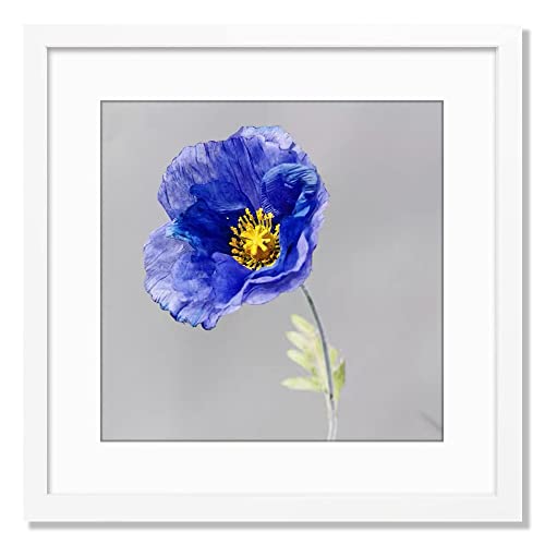 Version 1.0.0 Version 1.0.0