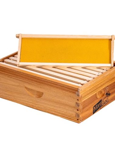 8-Frame Beehive Box Langstroth Medium Super Bee Box for Sale Wax Coated Bee Hives Includes Wooden Frames & Waxed Foundations