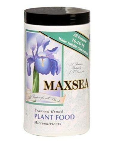 Maxsea All Purpose Plant Food 16-16-16, 1.5 lb.