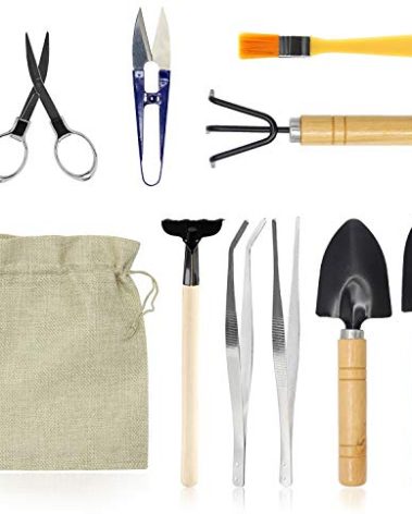 FALIDI Bonsai Set 10 PCS-Mini Gardening Tools Kit for Indoor Outdoor Bonzai Include Pruner, Fold Scissors, Mini Rake, Tweezers, Cleaning Brush