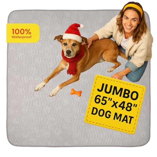 Version 1.0.0 Version 1.0.0